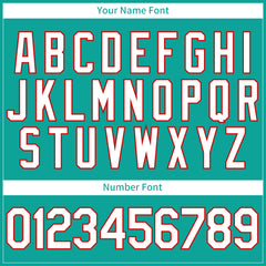 Custom Aqua Full Button Up Mesh Fans Special Edition Authentic Baseball Jersey