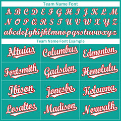 Custom Aqua Full Button Up Mesh Fans Special Edition Authentic Baseball Jersey