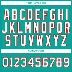 Custom Aqua Pinstripe Mesh Fans Special Edition Authentic Baseball Jersey