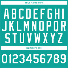 Custom Pinstripe Aqua Full Button Down Mesh Fans Special Edition Authentic Baseball Jersey