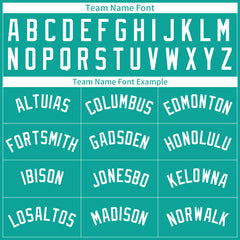 Custom Pinstripe Aqua Full Button Down Mesh Fans Special Edition Authentic Baseball Jersey