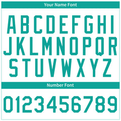 Custom Aqua Pinstripe Full Button Down Mesh Fans Special Edition Authentic Baseball Jersey