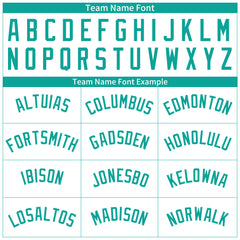 Custom Aqua Pinstripe Full Button Down Mesh Fans Special Edition Authentic Baseball Jersey