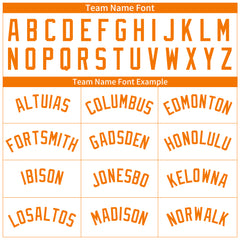 Custom BAY Orange Pinstripe Full Button Down Mesh Fans Special Edition Authentic Baseball Jersey