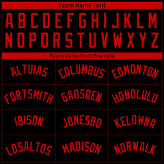 Custom Pinstripe Black Full Button Down Mesh Fans Special Edition Authentic Baseball Jersey