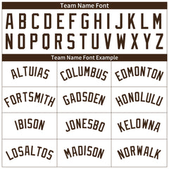 Custom Brown Pinstripe Full Button Down Mesh Fans Special Edition Authentic Baseball Jersey