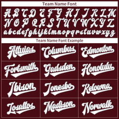 Custom Burgundy Full Button Down Mesh Fans Special Edition Authentic Baseball Jersey