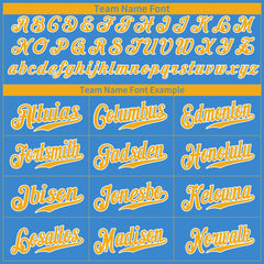 Custom Blue Full Button Down Fans Special Edition Authentic Baseball Jersey