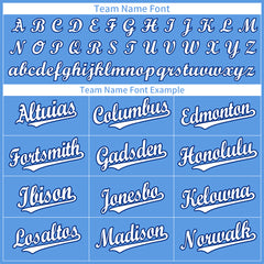 Custom Elecrtic Blue Full Button Up Mesh Fans Special Edition Authentic Baseball Jersey