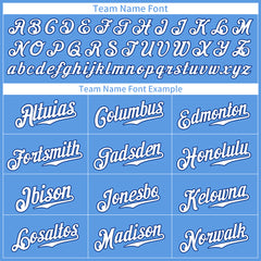 Custom Elecrtic Blue Pinstripe Mesh Fans Special Edition Authentic Baseball Jersey