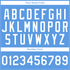 Custom Pinstripe Elecrtic Blue Full Button Down Mesh Fans Special Edition Authentic Baseball Jersey