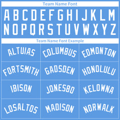 Custom Pinstripe Elecrtic Blue Full Button Down Mesh Fans Special Edition Authentic Baseball Jersey