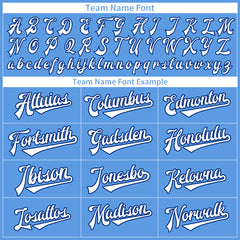 Custom Elecrtic Blue Full Button Down Mesh Fans Special Edition Authentic Baseball Jersey