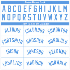 Custom Elecrtic Blue Pinstripe Full Button Down Mesh Fans Special Edition Authentic Baseball Jersey