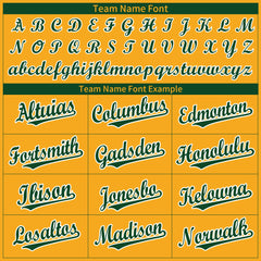 Custom Gold Full Button Up Mesh Fans Special Edition Authentic Baseball Jersey