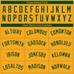 Custom Pinstripe Gold Full Button Down Mesh Fans Special Edition Authentic Baseball Jersey