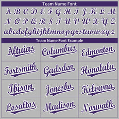 Custom Gray Full Button Up Mesh Fans Special Edition Authentic Baseball Jersey