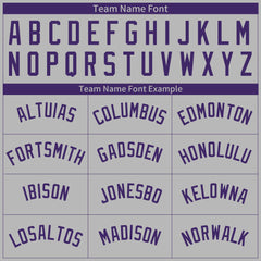 Custom Pinstripe Gray Full Button Down Mesh Fans Special Edition Authentic Baseball Jersey