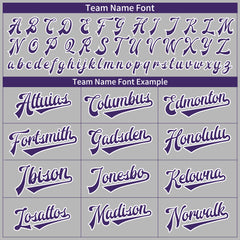 Custom Gray Full Button Down Mesh Fans Special Edition Authentic Baseball Jersey