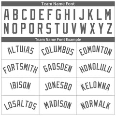 Custom Gray Pinstripe Full Button Down Mesh Fans Special Edition Authentic Baseball Jersey