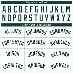 Custom Green Pinstripe Full Button Down Mesh Fans Special Edition Authentic Baseball Jersey