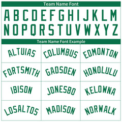 Custom Kelly Green Pinstripe Full Button Down Mesh Fans Special Edition Authentic Baseball Jersey