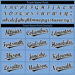 Custom Light Blue Full Button Up Mesh Fans Special Edition Authentic Baseball Jersey