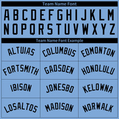 Custom Pinstripe Light Blue Full Button Down Mesh Fans Special Edition Authentic Baseball Jersey