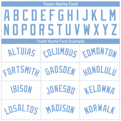 Custom Light Blue Pinstripe Full Button Down Mesh Fans Special Edition Authentic Baseball Jersey