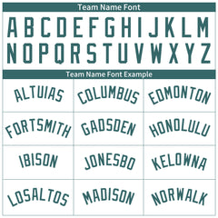 Custom Midnight Green Pinstripe Full Button Down Mesh Fans Special Edition Authentic Baseball Jersey