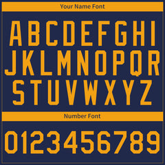 Custom Pinstripe Navy Full Button Down Mesh Fans Special Edition Authentic Baseball Jersey