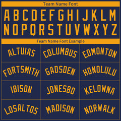 Custom Pinstripe Navy Full Button Down Mesh Fans Special Edition Authentic Baseball Jersey