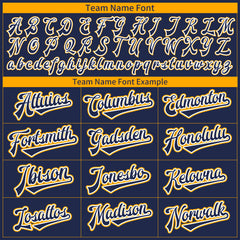 Custom Navy Full Button Down Mesh Fans Special Edition Authentic Baseball Jersey