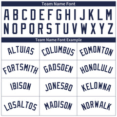 Custom Navy Full Pinstripe Button Down Mesh Fans Special Edition Authentic Baseball Jersey