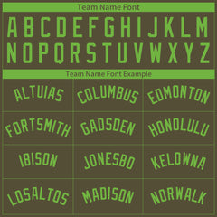 Custom Pinstripe Olive Full Button Down Mesh Fans Special Edition Authentic Baseball Jersey