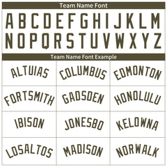 Custom Olive Pinstripe Full Button Down Mesh Fans Special Edition Authentic Baseball Jersey