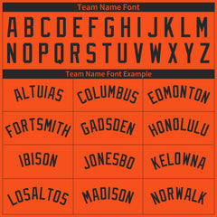 Custom Orange Pinstripe Mesh Fans Special Edition Authentic Baseball Jersey