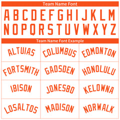 Custom Orange Pinstripe Full Button Down Mesh Fans Special Edition Authentic Baseball Jersey