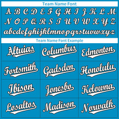 Custom Panther Blue Blue Full Button Up Mesh Fans Special Edition Authentic Baseball Jersey