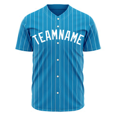 Custom Panther Blue Pinstripe Mesh Fans Special Edition Authentic Baseball Jersey