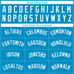 Custom Pinstripe Panther Blue Full Button Down Mesh Fans Special Edition Authentic Baseball Jersey