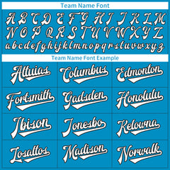 Custom Panther Blue Blue Full Button Down Mesh Fans Special Edition Authentic Baseball Jersey