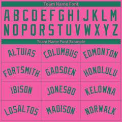 Custom Pink Pinstripe Mesh Fans Special Edition Authentic Baseball Jersey