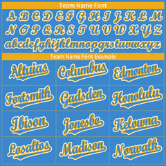 Custom Powder Blue Full Button Up Mesh Fans Special Edition Authentic Baseball Jersey