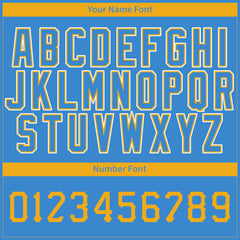 Custom Powder Blue Pinstripe Mesh Fans Special Edition Authentic Baseball Jersey