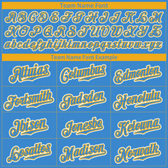 Custom Powder Blue Pinstripe Mesh Fans Special Edition Authentic Baseball Jersey