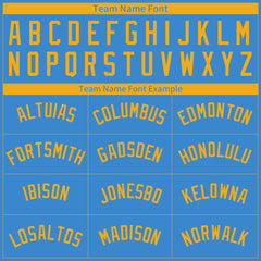 Custom Pinstripe Powder Blue Full Button Down Mesh Fans Special Edition Authentic Baseball Jersey