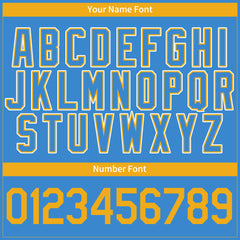 Custom Powder Blue Full Button Down Mesh Fans Special Edition Authentic Baseball Jersey