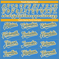 Custom Powder Blue Full Button Down Mesh Fans Special Edition Authentic Baseball Jersey