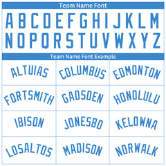 Custom Powder Blue Pinstripe Full Button Down Mesh Fans Special Edition Authentic Baseball Jersey